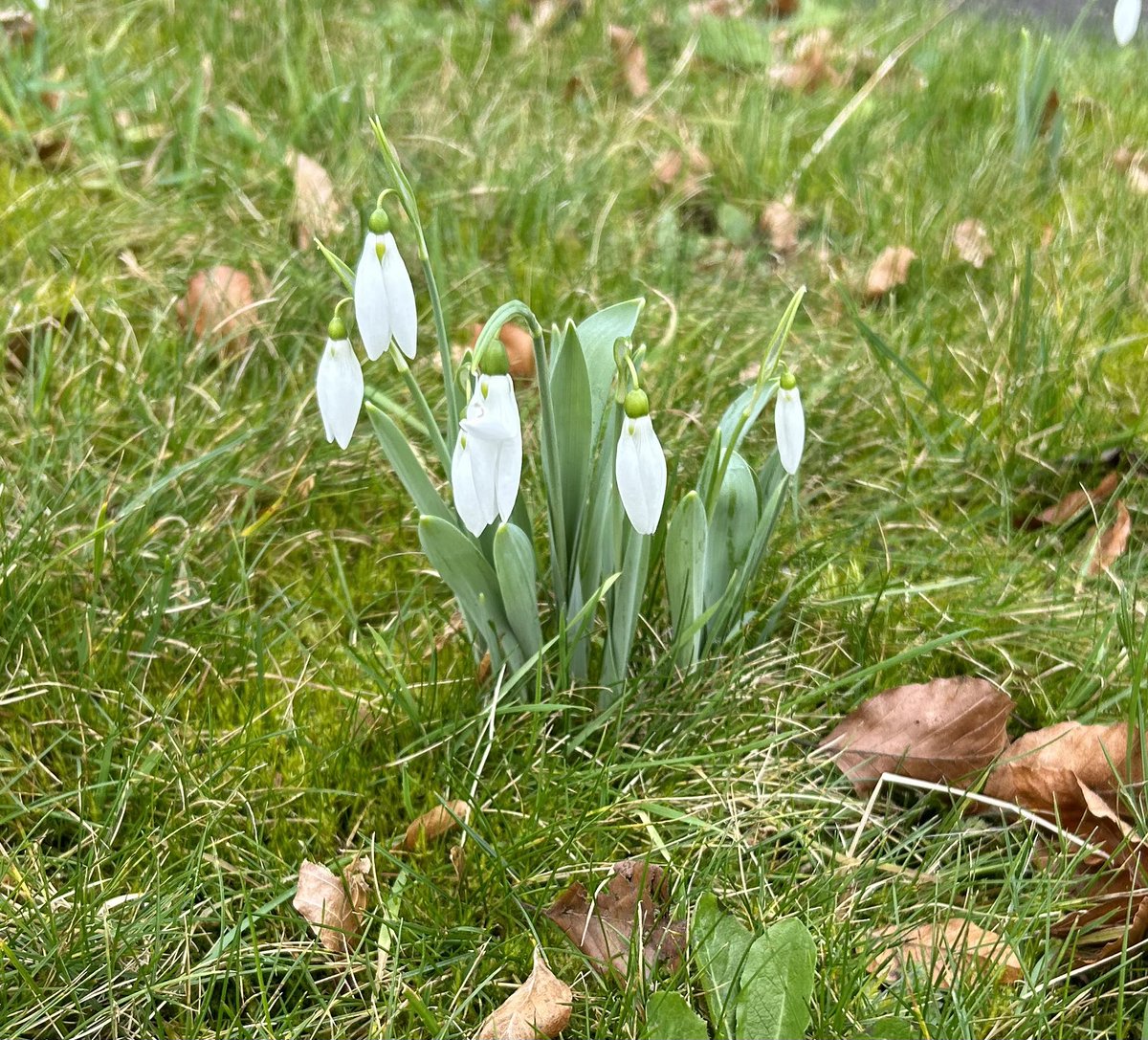 Spring life in full flow in the Chaplaincy