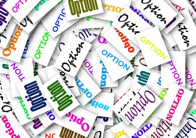 Option Choices 2025